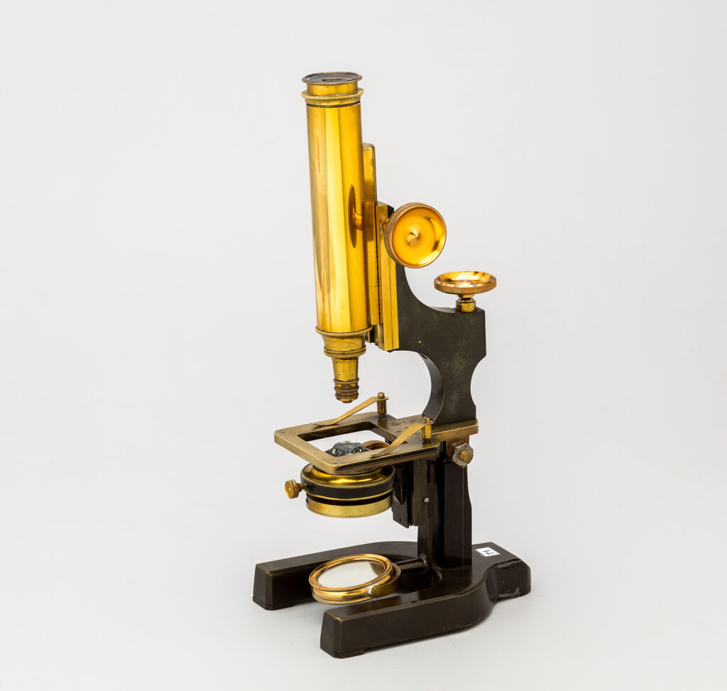 Microscopio monocular de época Victoriana. Ernst Leitz. c.1880
