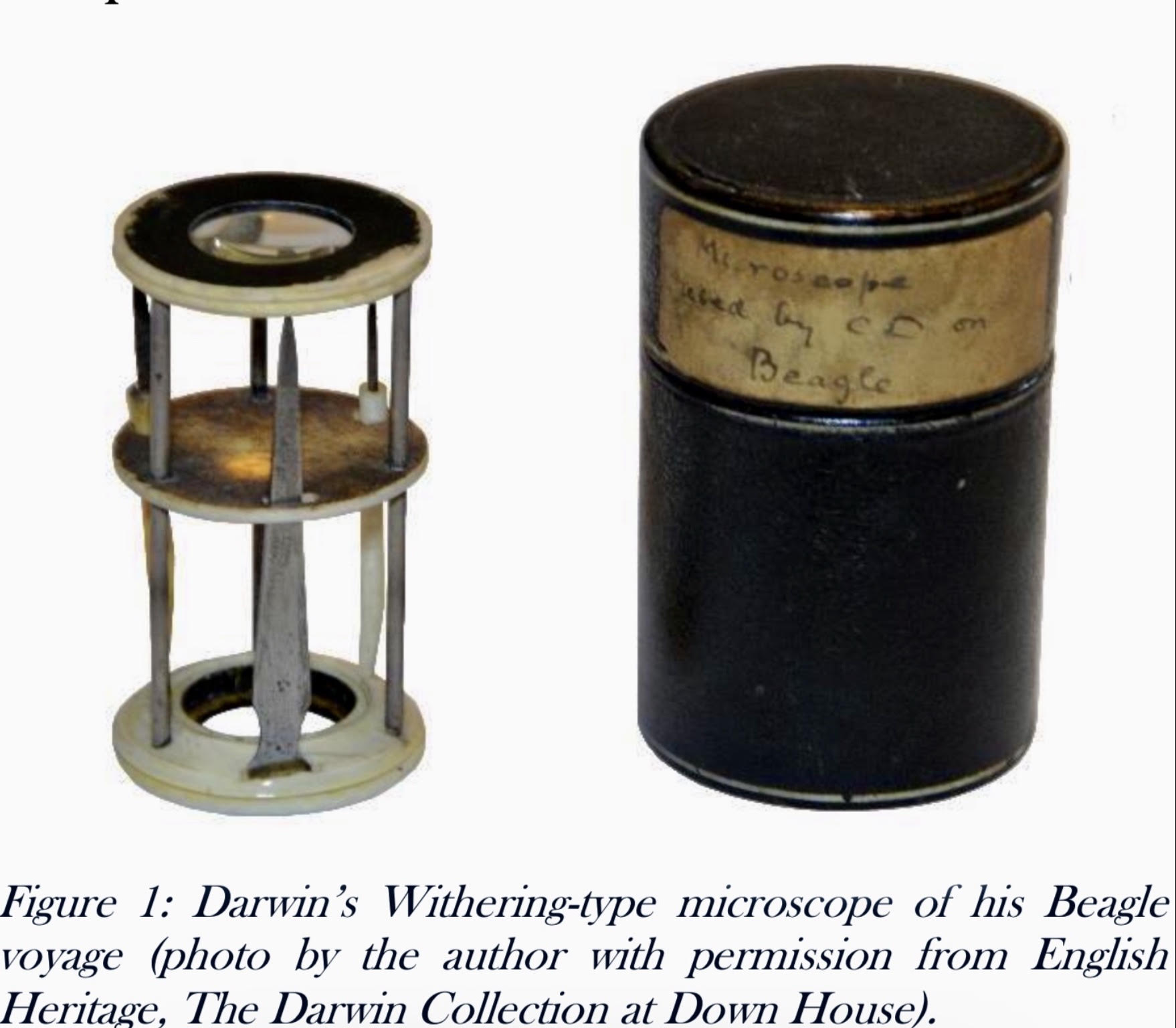 Withering William 2
